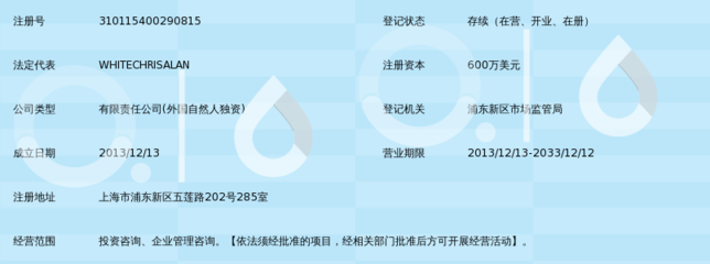 專業引領，價值共創 愛珂投資咨詢的服務理念與實踐